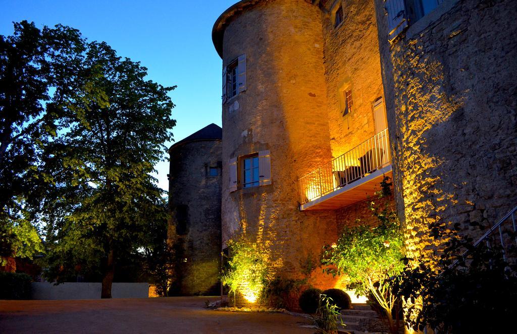 Chateau D'Ige エクステリア 写真
