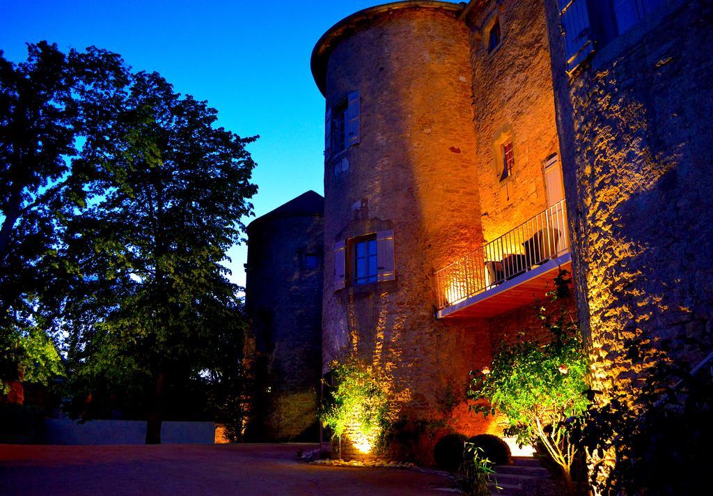 Chateau D'Ige エクステリア 写真