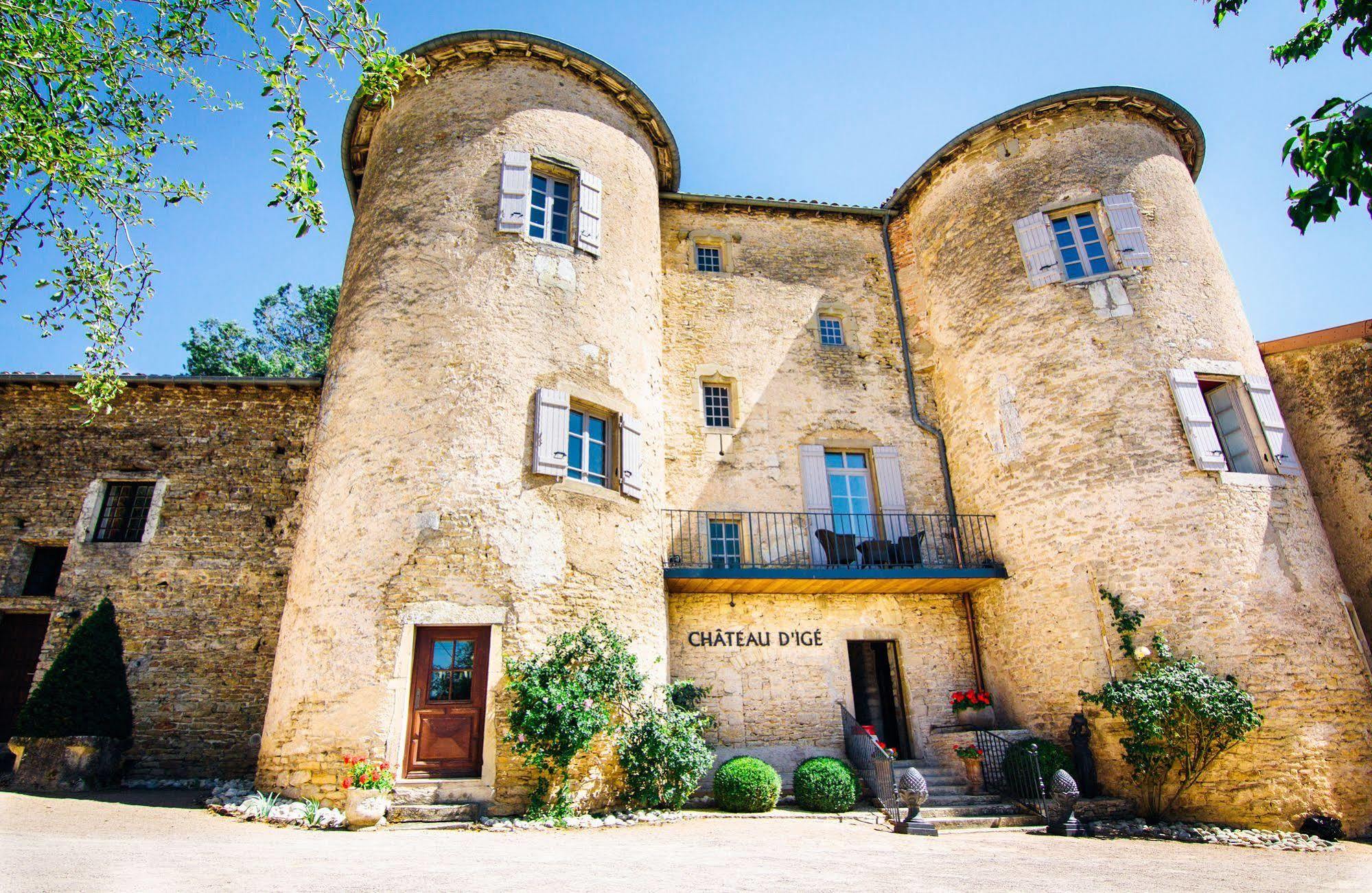 Chateau D'Ige エクステリア 写真